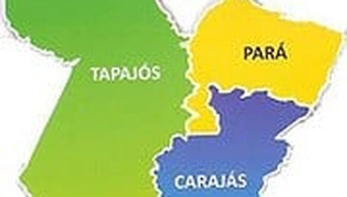 Capa da publicação O desmembramento do Estado do Pará: democracia participativa e pacto federativo