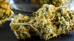 Imagem de capa do artigo Entre o usuário e o traficante de drogas ilícitas