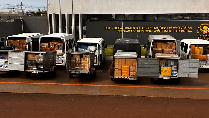 Capa da publicação Os crimes de contrabando e descaminho e suas consequências para o Estado brasileiro