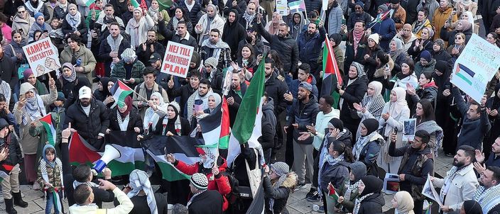 Capa da publicação Conflito Israel-Palestina: direitos humanos sob ataque