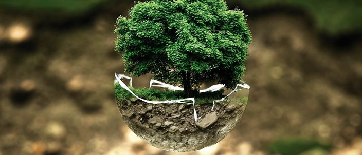 Capa da publicação Desenvolvimento do direito fundamental ao meio ambiente