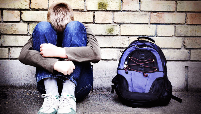 Capa da publicação Bullying escolar: a importância da prevenção dessa prática 