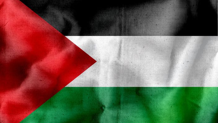 Capa da publicação A Palestina como sujeito de direito internacional