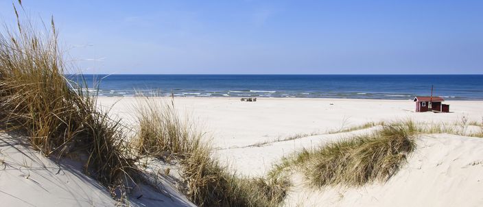 Capa da publicação Usucapião de bens públicos sujeitos a regime de aforamento