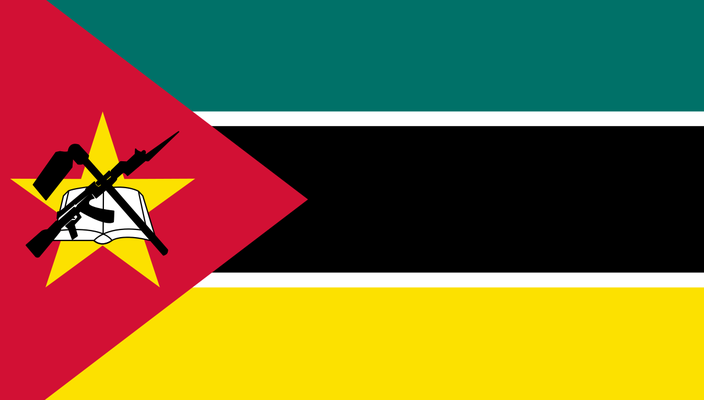 Capa da publicação Direitos humanos na Constituição de Moçambique
